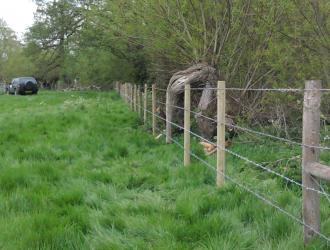 2013 Fencing at Bruisyard. Add a 4th strand of barbed wire